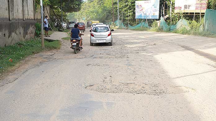 Repair-of-Dilai-gate-Hotel-Tragopan