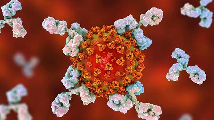 Antibodies-against-coronavirus