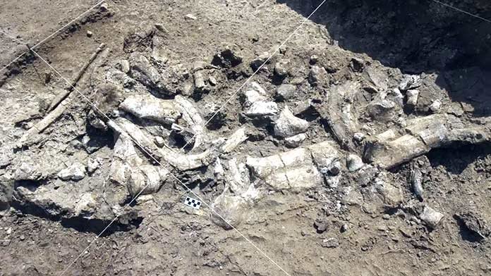 Stone-Age-discovery