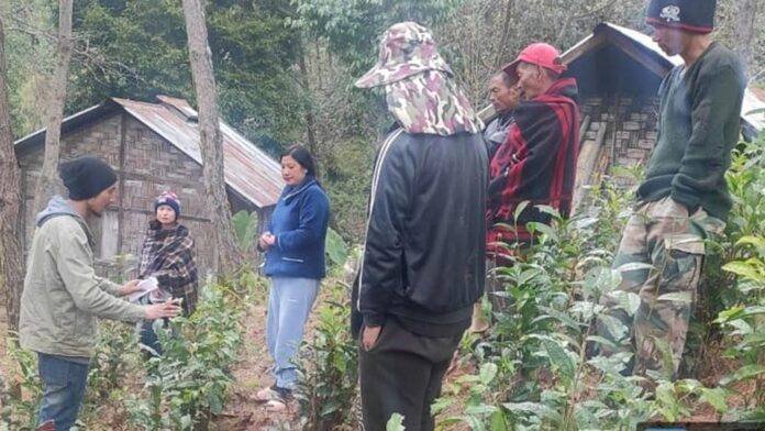 Tea-farm-school