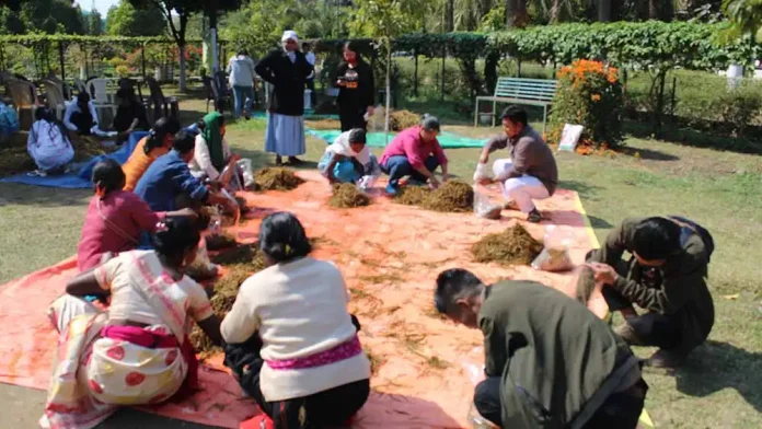 Workshop on mushroom