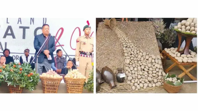 Nagaland Potato