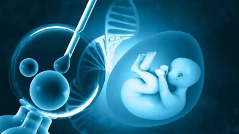 ‘IVF does not increase risk of mental health issues in adolescents’