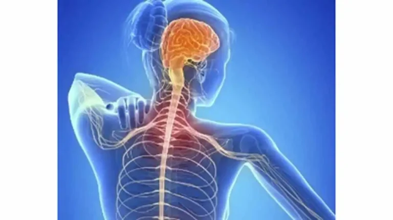 Young, women more likely to suffer from multiple sclerosis: Experts