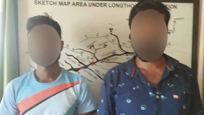 2 arrested for cattle