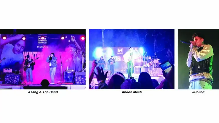 Winter Music gigs held in Tuli