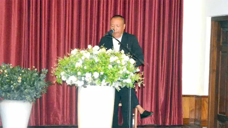 Chingang delves on challenges faced by mining sector in NE states