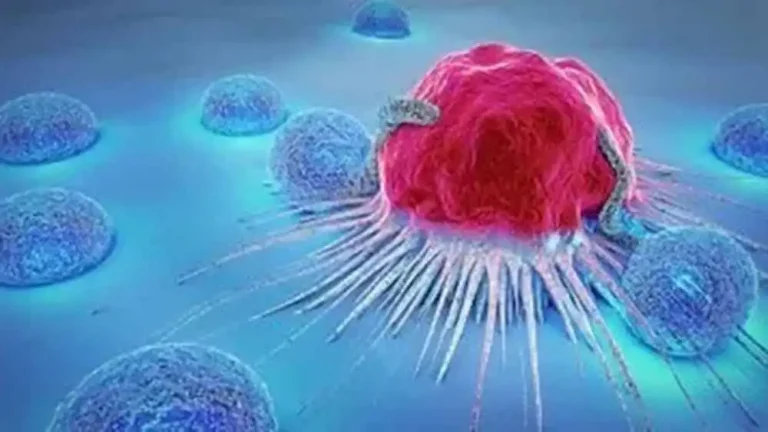 Scientists create novel method toidentify healthy and cancerous cells