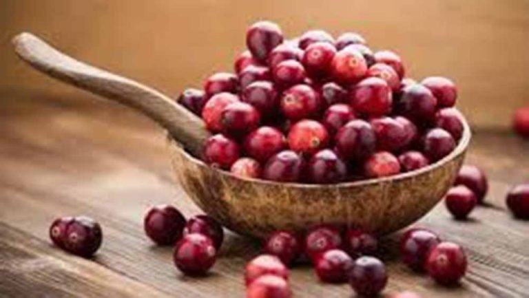 6 Health Benefits of eating Cranberries