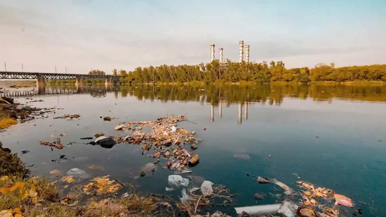 8,500 tonnes of antibiotics from humanuse contaminating rivers worldwide: Study