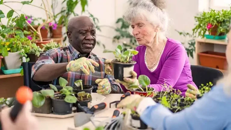 How gardening can help you live better for longer