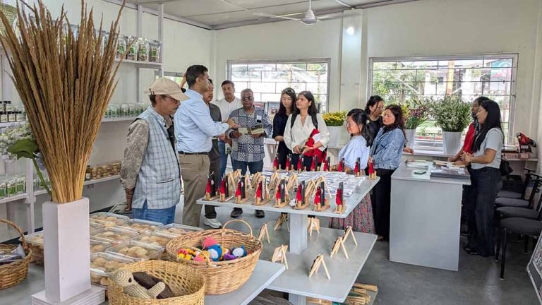 Japanese International Cooperation Agency team reviews NFMP in Wokha