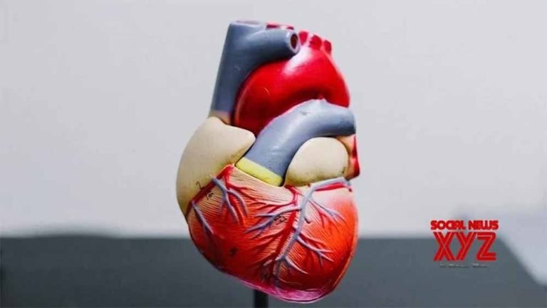Only 3 out of 5 heart failure patients see cardiologist at least once a year: Study