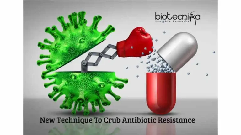 Strategy to tackle antibiotic resistance discovered
