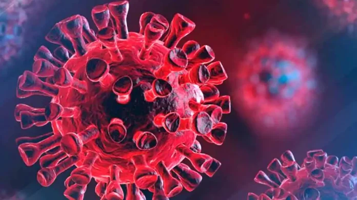 Study finds long Covid biomarkers