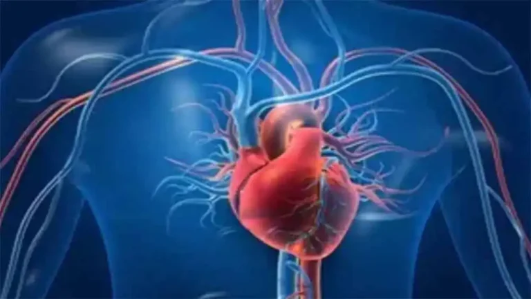 Unhealthy lifestyles may be ageing your heart too fast